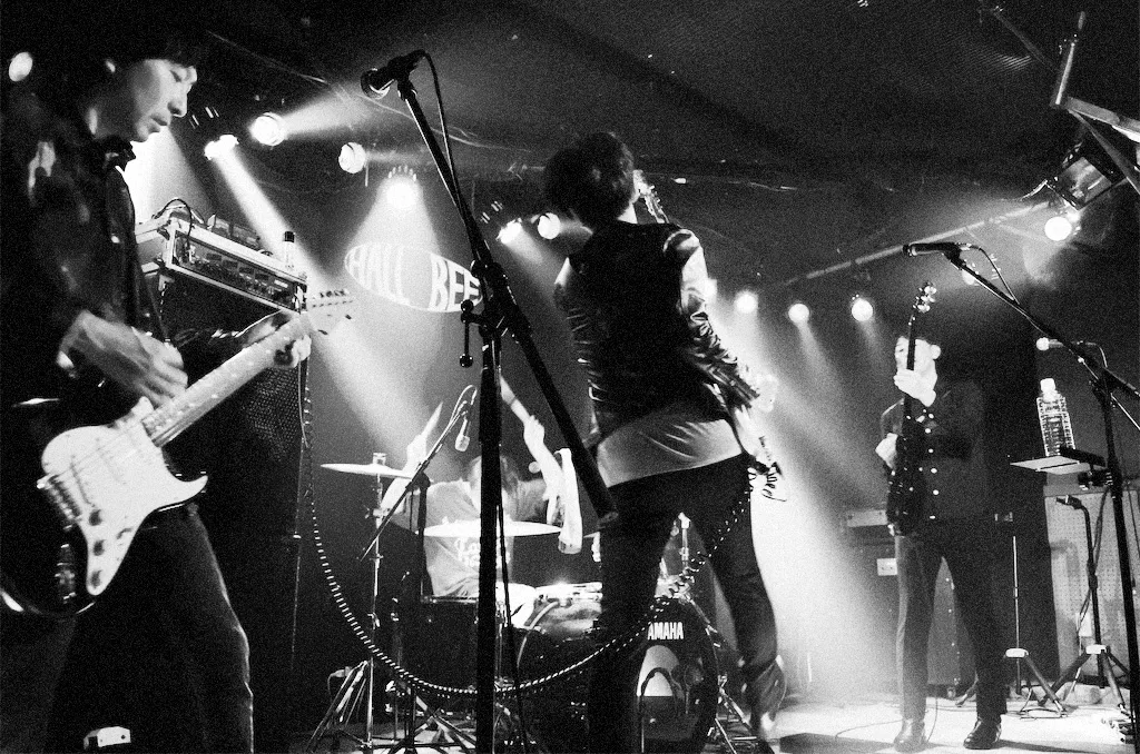 The Clarity performing live