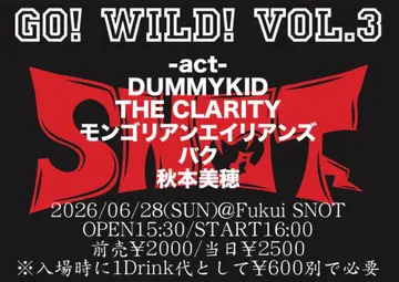 Flyer for the show on 2026.06.28